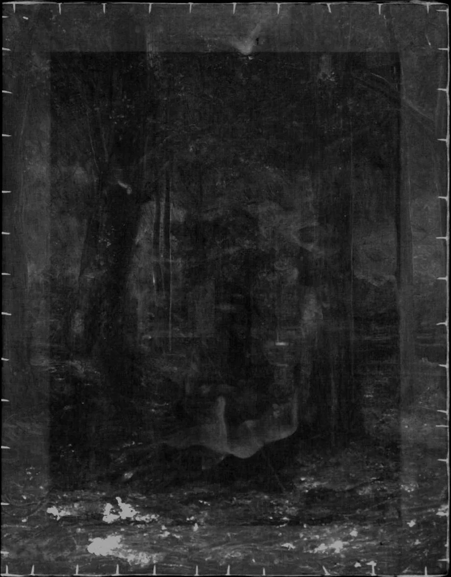 Portrait, X-ray analysis using LODOX Statscan